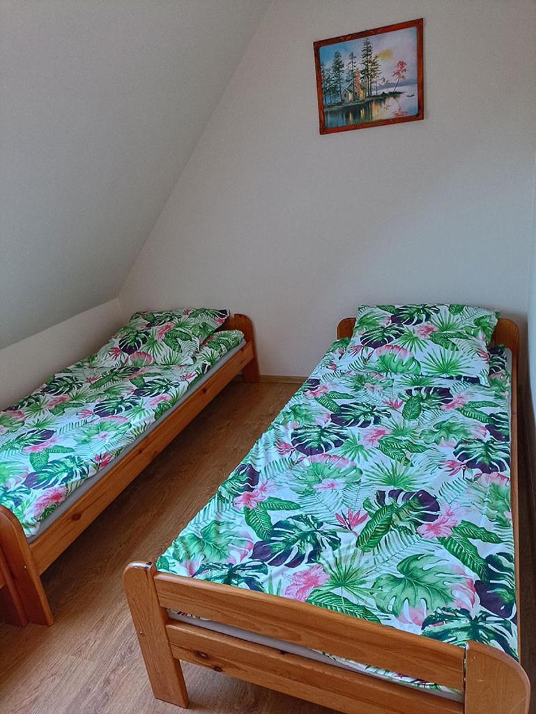 Ledzin Apartamenty "Anusia" מראה חיצוני תמונה