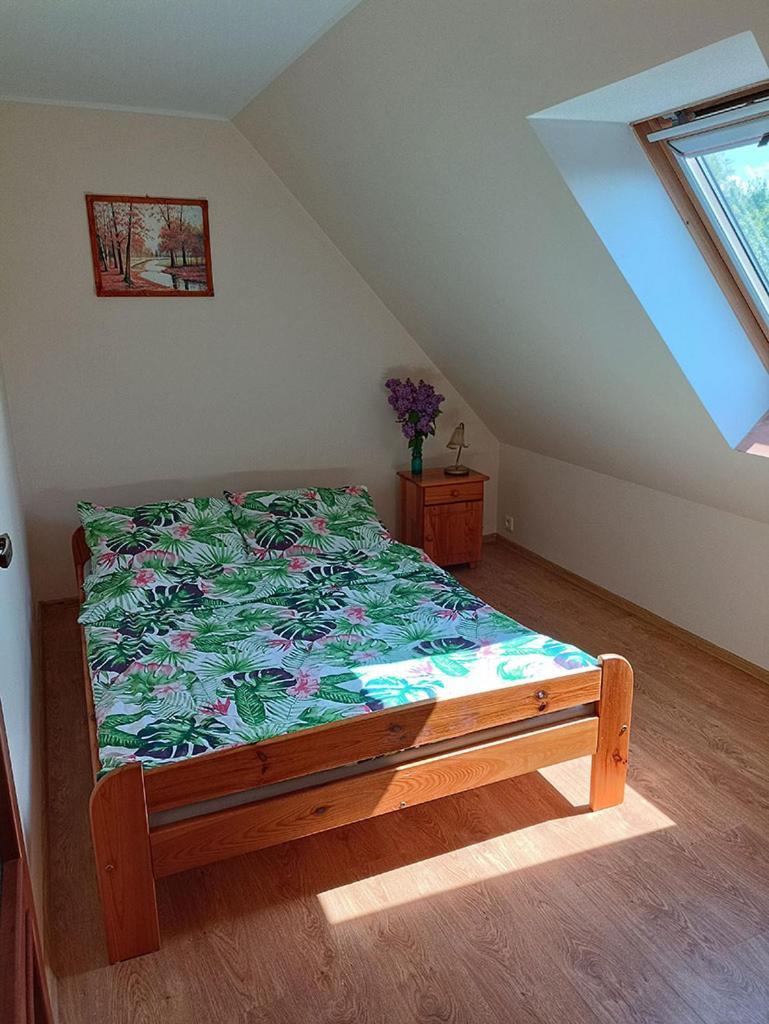 Ledzin Apartamenty "Anusia" מראה חיצוני תמונה