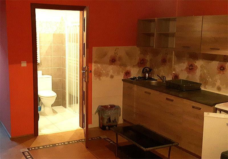 Ledzin Apartamenty "Anusia" מראה חיצוני תמונה
