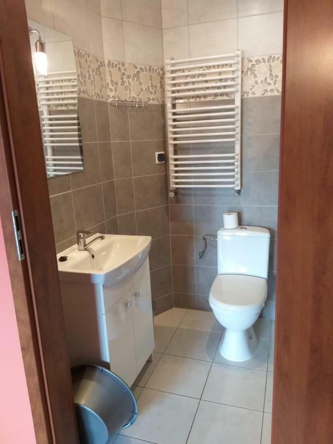 Ledzin Apartamenty "Anusia" מראה חיצוני תמונה