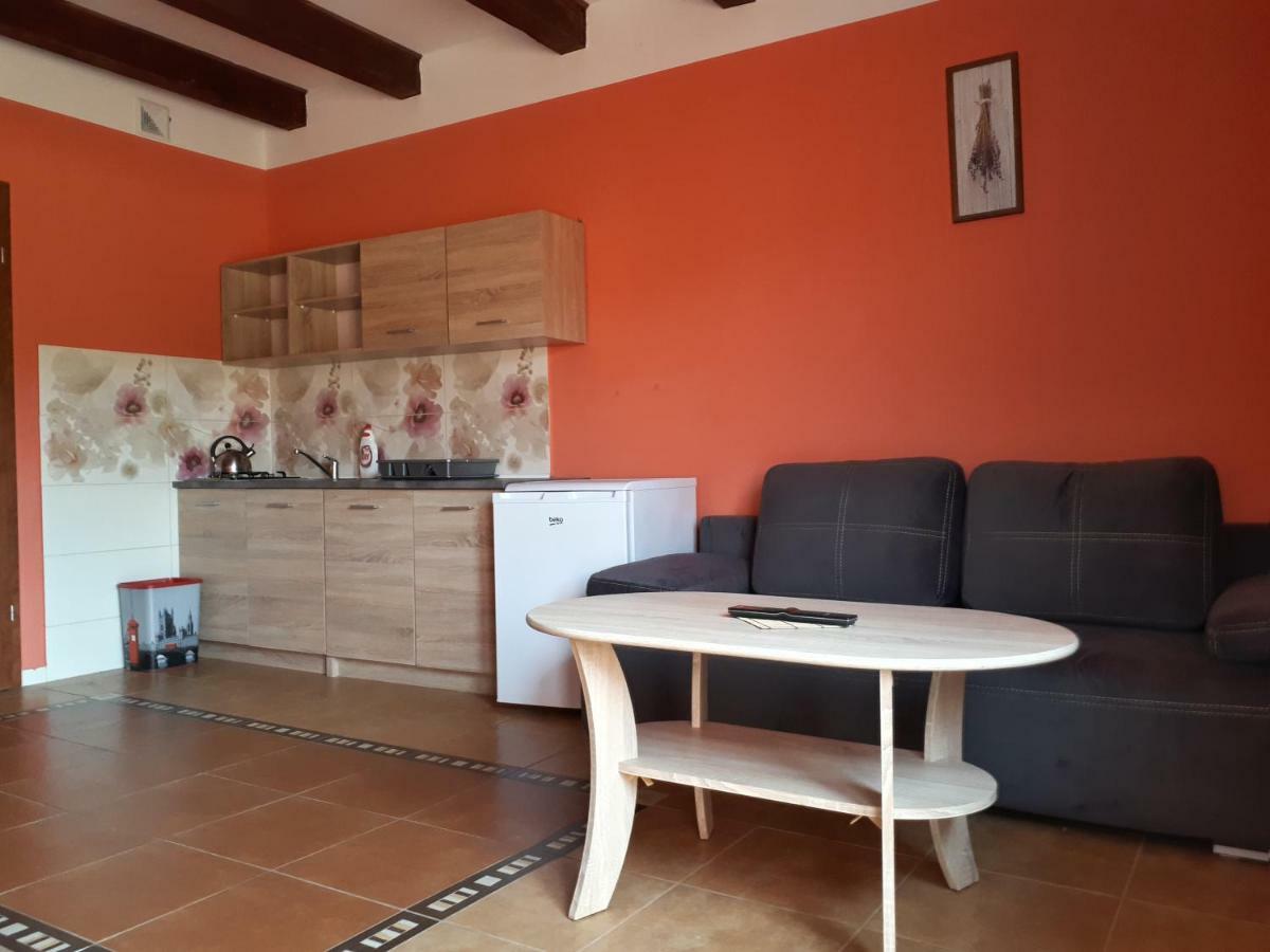 Ledzin Apartamenty "Anusia" מראה חיצוני תמונה